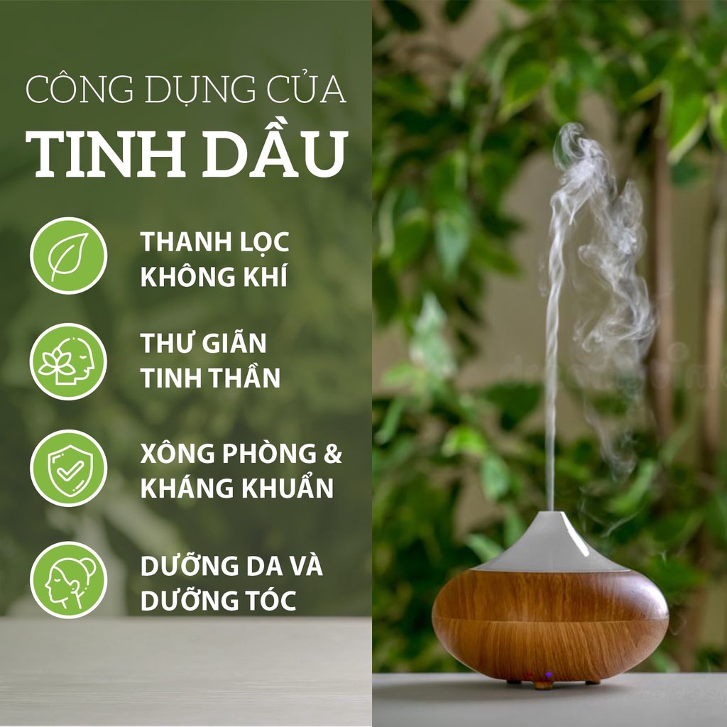Đèn Xông Tinh Dầu